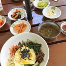 귀빈애견 이미지