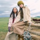 아일랜드 이미지