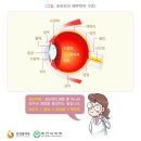 아이윤안과병원 이미지