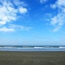 해송과 바다 이미지