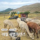 ㈜한타제주판매 | 애월동물원 새별프렌즈 제주동물먹이 체험