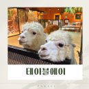 파주 실내동물원 테이블에이 실내데이트 추