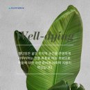 삶 그리고 아름다운 마무리 Well Dying | 웰 다잉(Well-Dying)이란? 삶의 아름다운 마무리를 위한 철학과 실천