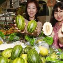 모텔파파야 이미지