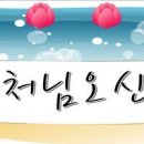 오신 Daum카페