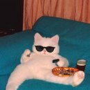 무오베레(MUOVERE) 이미지