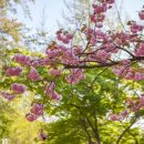 명신관광 이미지