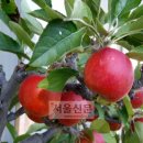 행복한 하루 - 서구 | 행복한 하루