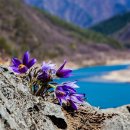 문산1리 이미지