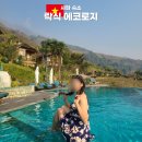 사파 숙소, 논뷰 인피니티풀 락식 에코로지 솔직후기