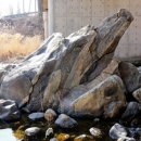 장수-19 세계일보