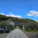 신원농장 | 충주 새봄농원 사과따기 체험 후기 가을 가족나들이 추천