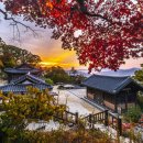 송애정민박 이미지