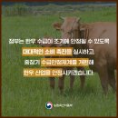 '한우 수급안정 대책'을 마련했습니다. 이미지