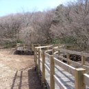 남원읍-50 이미지