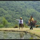 김종배농장 이미지