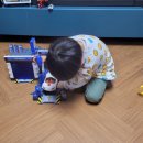 보쉬카센타 이미지