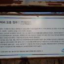 밀양박씨 오충 정려 이미지