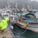 연안유선 이미지