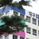 에스엘 독 이미지