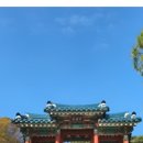 은행나무길(경제진흥원앞) 이미지