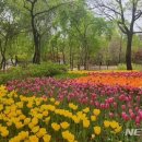 나들이숲 화장실 이미지