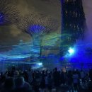 더베이(THE BAY) | 가든스 바이 더 베이(Gardens by the Bay)후기🌴🇸🇬