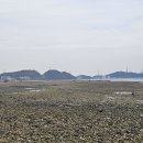 장고항 Daum카페