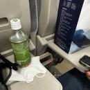 용우초등학교 | 🇰🇷 [부산] 1박 2일 부산여행 (with J호소인)