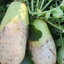 무정농장 이미지