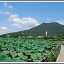 선동마을회관 이미지