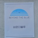 비욘더블루 이미지