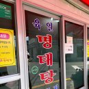 7.16~7.17 여름여행!🐑❤️🐔(거제여행🏝) / (육일명태탕-매미성-짹짹커피-삼성거제호텔-만선칼국수-집밥...