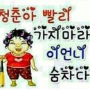 대운다방