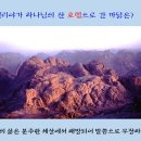 로뎀나무아래서