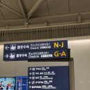 하하하주유소 | 🇲🇳 몽골여행 DAY1｜미니사막 낙타·모래썰매부터 쳉헤르 온천까지