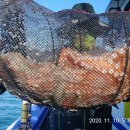 나라3호 이미지