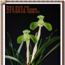 (주)제주동원약품 이미지