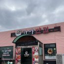 대가야반점 이미지