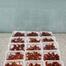 내돈내산 일산시장 닭발 삼정닭발 5팩 구매후기 일산닭발포장맛집