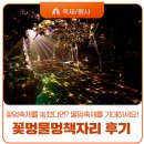 공주-73 | 공주 백제문화전당 ‘빛으로 잇는 시간-백제’ 몰입형 전시 후기