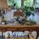 밀양189 | 밀양 여행코스, 달팽이전망대 근처 밀양189 정원과 앤틱감성 대형카페 후기