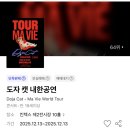 태권도자병체육관 | 💸제 통장이 텅장됐습니다... 2025 도자캣, 2026 원오크락 내한 공연 프리뷰!