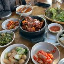 애견의 명가 궁 이미지