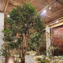 장전역 1번출구(1) | 부산 금정구 부산대맛집 프라이빗 룸이 있는 가족외식 식당 추천 식당3선 금정점