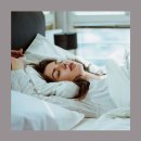 베스트솔루션