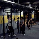 Teddy Fitness 이미지