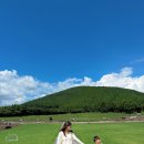서성일로 | 제주 아이랑 가볼만한 곳 알프스제주, 승마체험+카페 후기