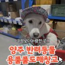 동락공원 반려동물 놀이터 | 양주 애견동반 놀이터 쿠팡보다 저렴한 대형견 큰 사이즈까지 반려동물용품 도매창고