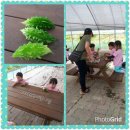 여주-0728 이미지